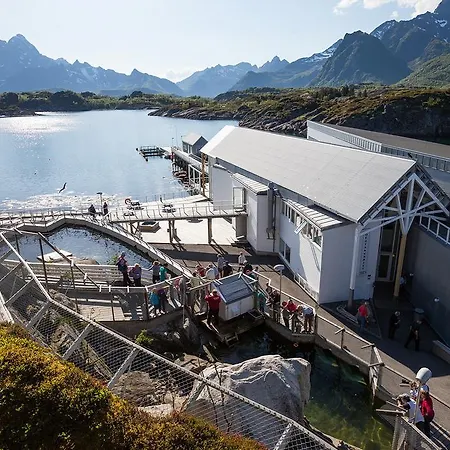 Lofoten And Car Kabelvag